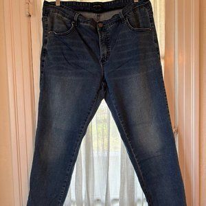 Seine Mid Rise Skinny Jeans 27 Inch Distressed Blue Size 16